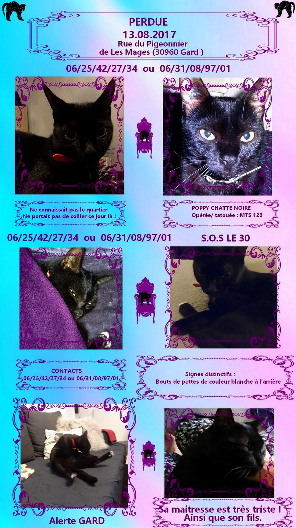 mon tube de chatte noireébène BBW Porntube