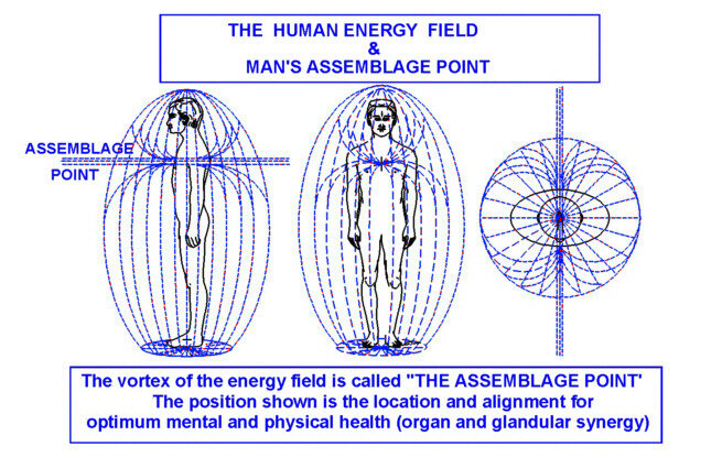 Un être humain est un champ d'énergie oscillant indépendant