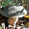 DSCN4350