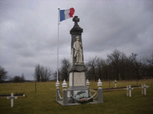54560___Filli_res___n_cropole