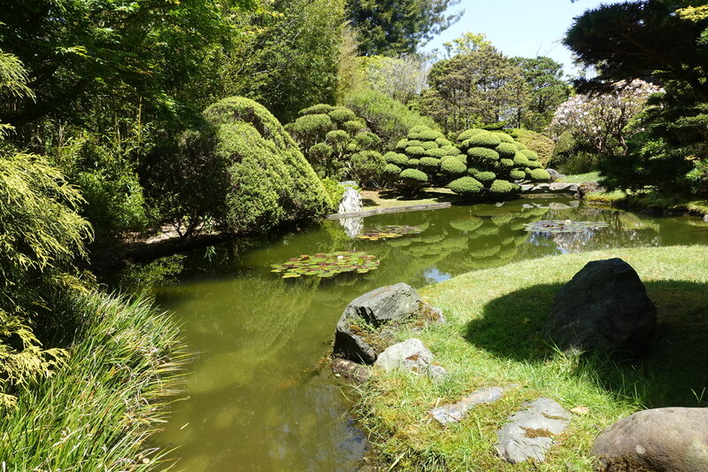 DSC00510
