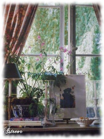 Photo_du_pass_