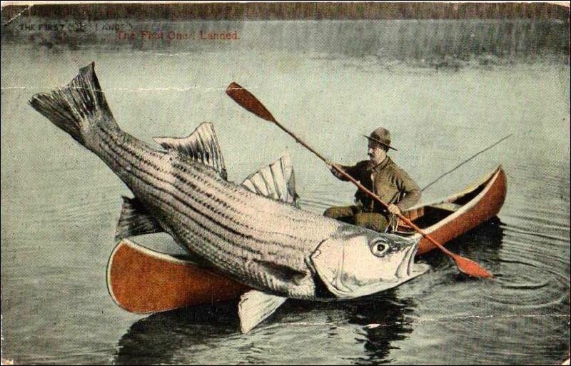 Gros Poisson Chanté Par Claude François AIFCK Amicale des Internationaux Français de canoë-kayak - Page 83