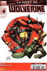 wolverine 2013 21