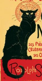 206 K° chat noir