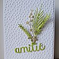 Des cartes pour l'amitié