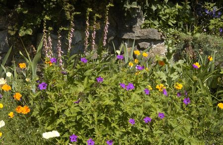 jardin_entr_e_est_8