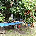 P1120427 (Copier)