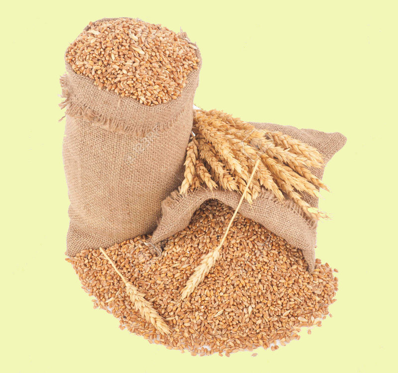 Grains sacs de blés