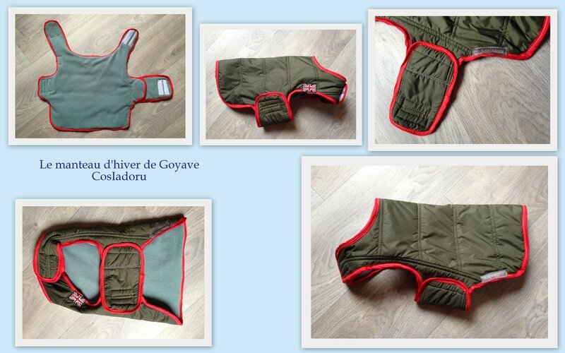 le manteau d'hiver de Goyave2
