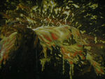 PDVD_011