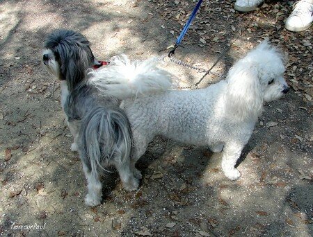 Photo_030