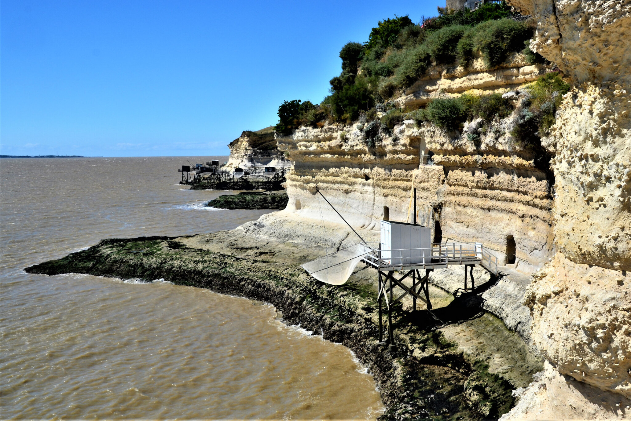 Les falaises de MescherssurGironde, CharenteMaritime Du bout du monde.... on vous écrit Les falaises de MescherssurGironde, CharenteMaritime Du bout du monde.... on vous écrit