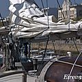 DSC08890