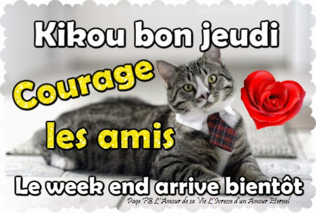 Bonsoir Et Bonne Nuit L Univers De Patounette Et Ses Amis Es Bonsoir Et Bonne Nuit L Univers De Patounette Et Ses Amis Es