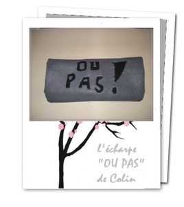 l_echarpe_a_colin