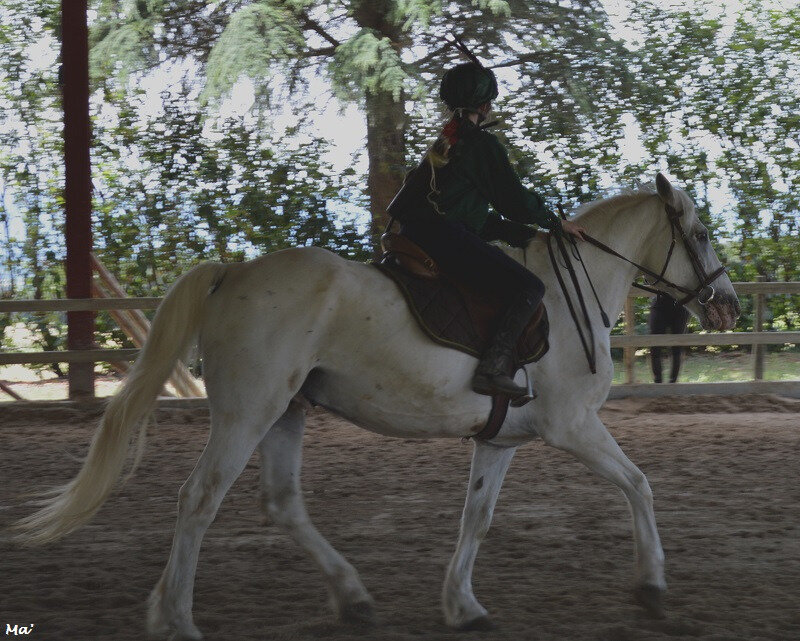 190623_equitation
