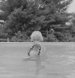 1955-connecticut-SP-Swimming_Pool-066-1-MHG-MMO-SP-21