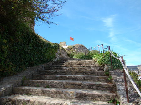 DSC03611