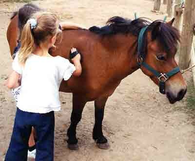 sitraACT349972_156986_atelier-poneys_2484