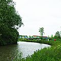 IMGP5462