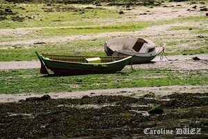 Barfleur_1100015_copie