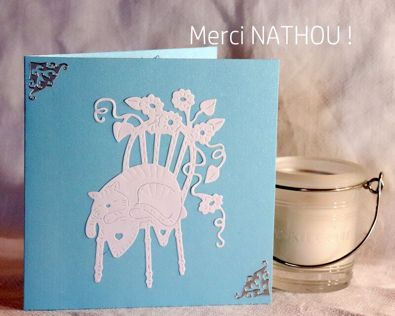 AVC - NATHOU-001