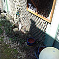 20190331_143909