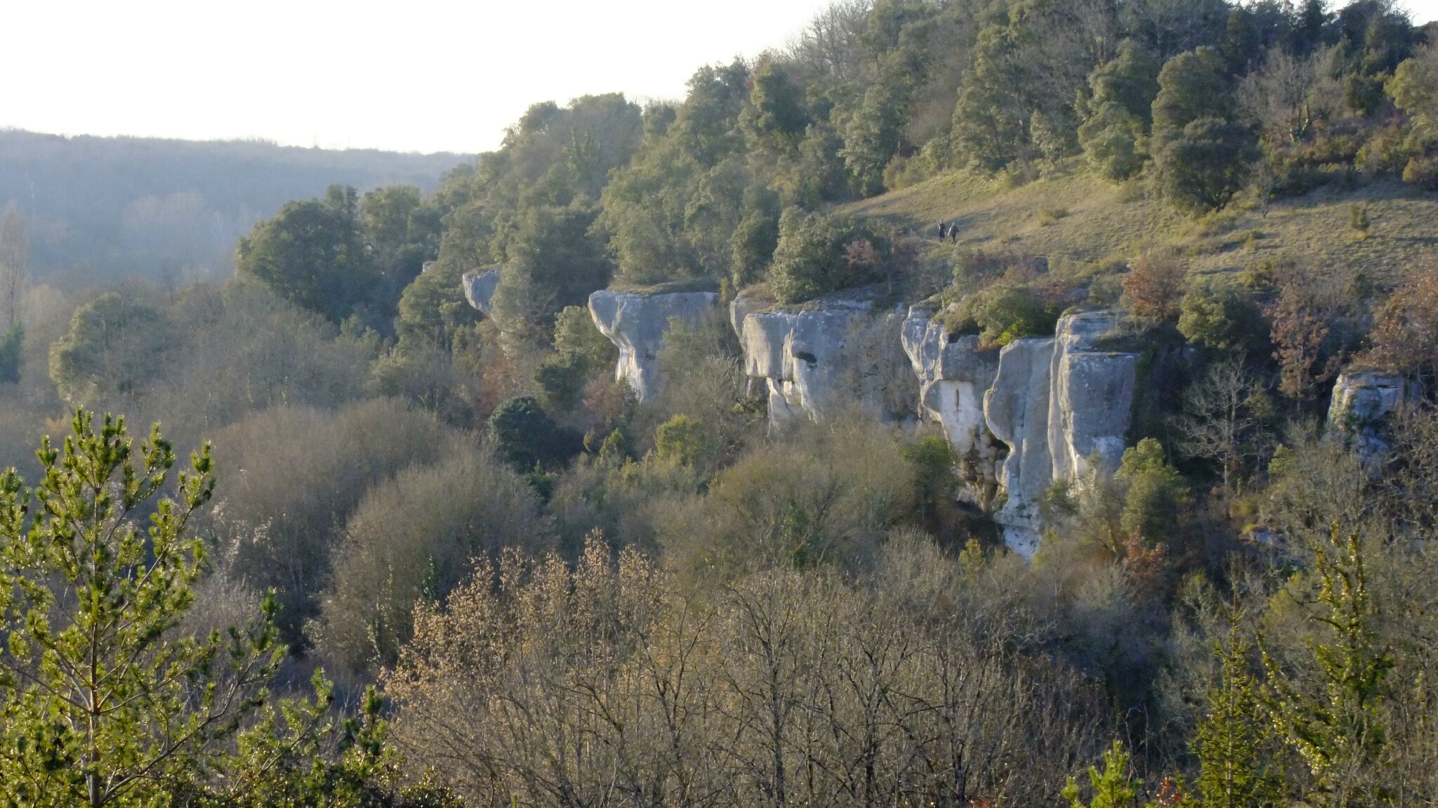 DSCF3857 Photo de La vallée des Eaux Claires Photographies Charentaises