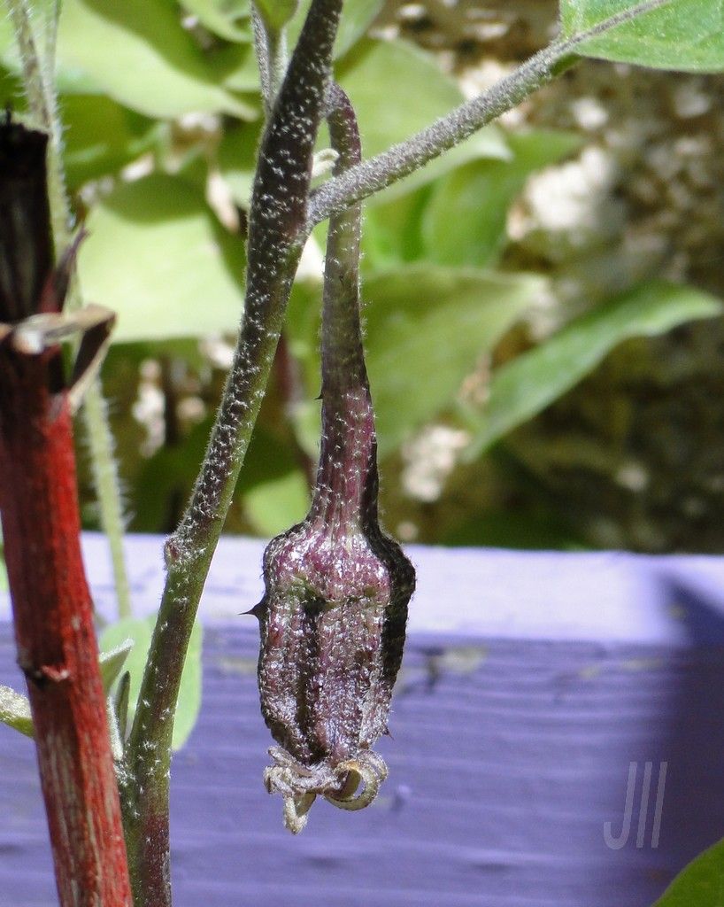 DSC03359_BLOG