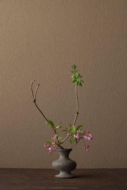 Ikebana By Toshiro Kawase Alain R Truong