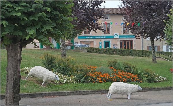Moutons Mezieres sur Issoire