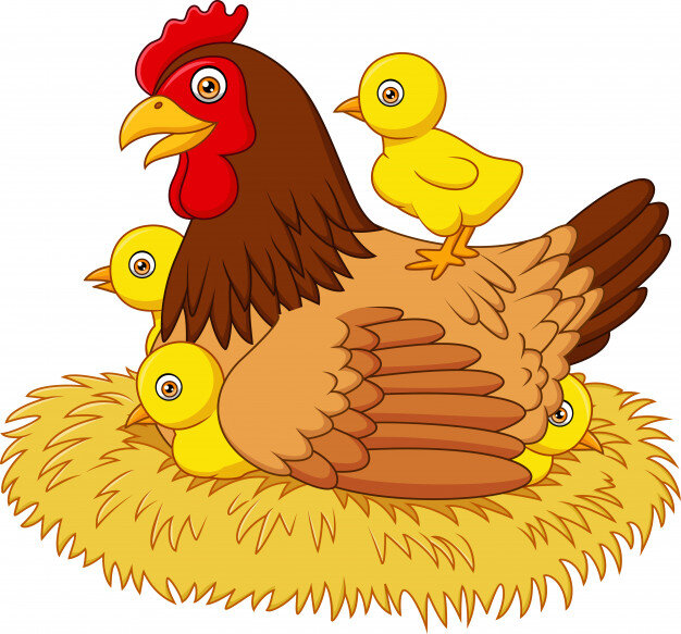 cartoon-hen-with-her-baby-chicks_29190-1832