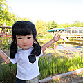 IMG_7136