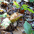 be-22-10-18-12