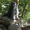 P1060314