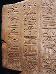 Palais_Saint_Pierre_mus_e_17