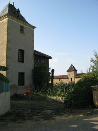 IMG_5341