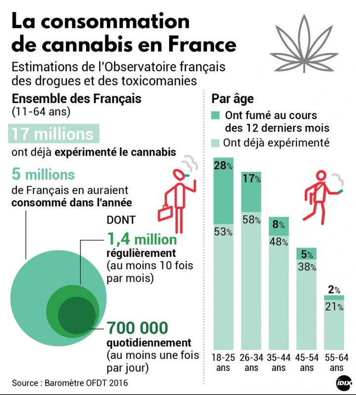 Légalisation Du Cannabis En France Pour Ou Contre La consommation de cannabis en France - Le cannabis en France