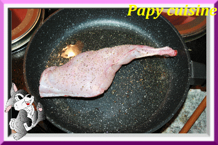 Anim rea lapin