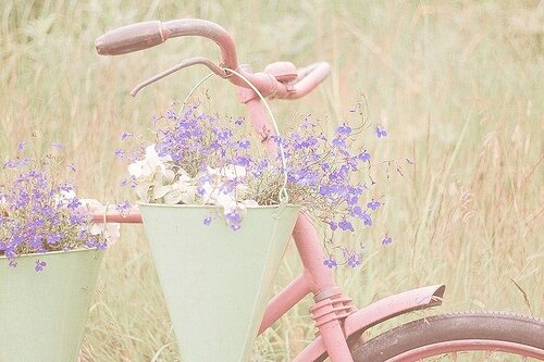 tumblr_lubw5aYmzu1qe49wpo1_500