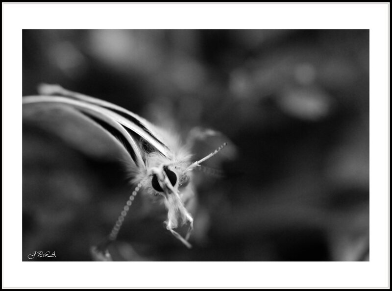 14 05 14 14 05 08 105macro 120 b