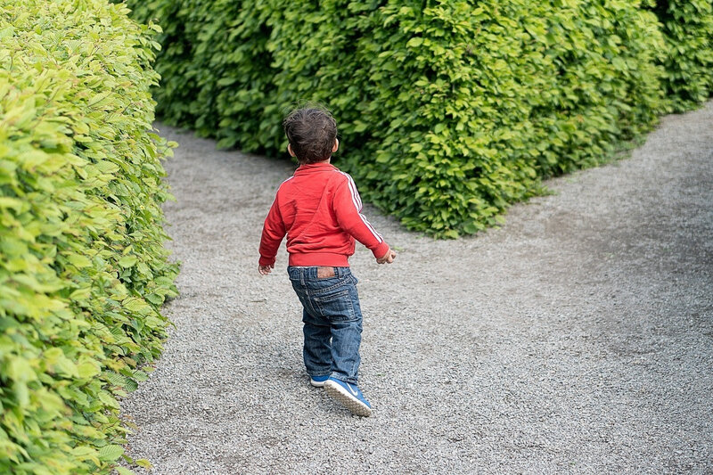 path-road-lawn-game-boy-kid