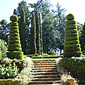 IMG_7079