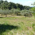P1040782