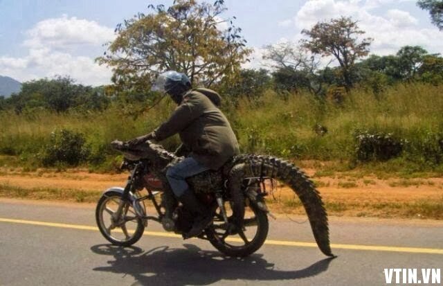 only_in_africa1