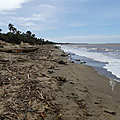 P1130693