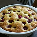 Gâteau improvisé pour satisfaire ma dent sucrée...( aux framboises)
