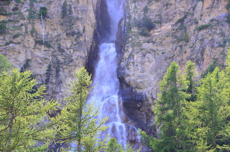 DSC_1503