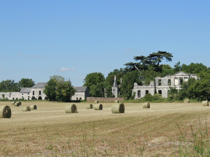 && château de la Tourballière (4)
